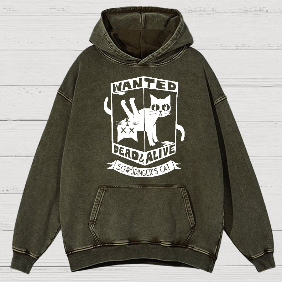 Schrödinger's Cat Mathe, Physics Vintage Distressed Hoodie