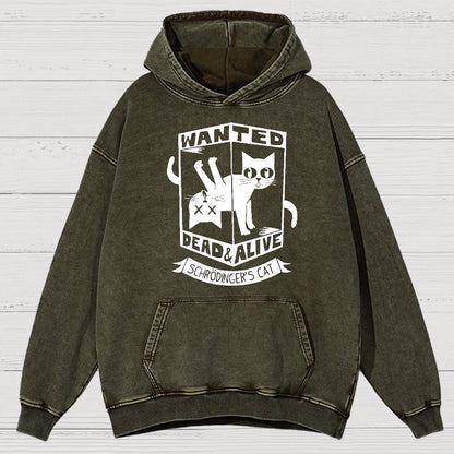 Schrödinger's Cat Mathe, Physics Vintage Distressed Hoodie