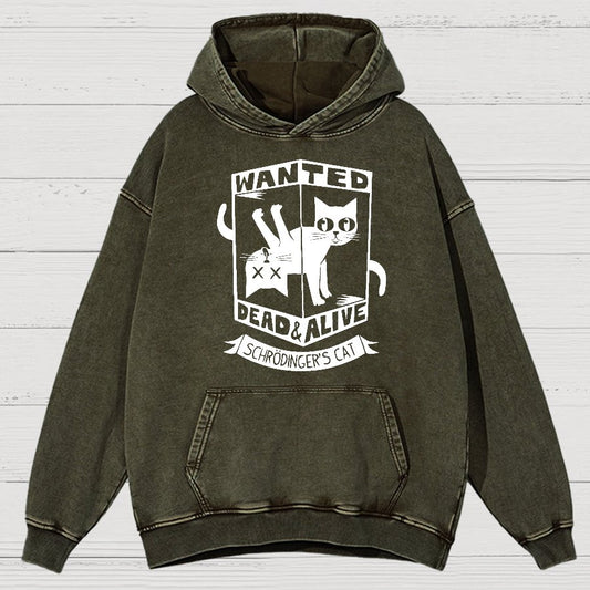 Schrödinger's Cat Mathe, Physics Vintage Distressed Hoodie