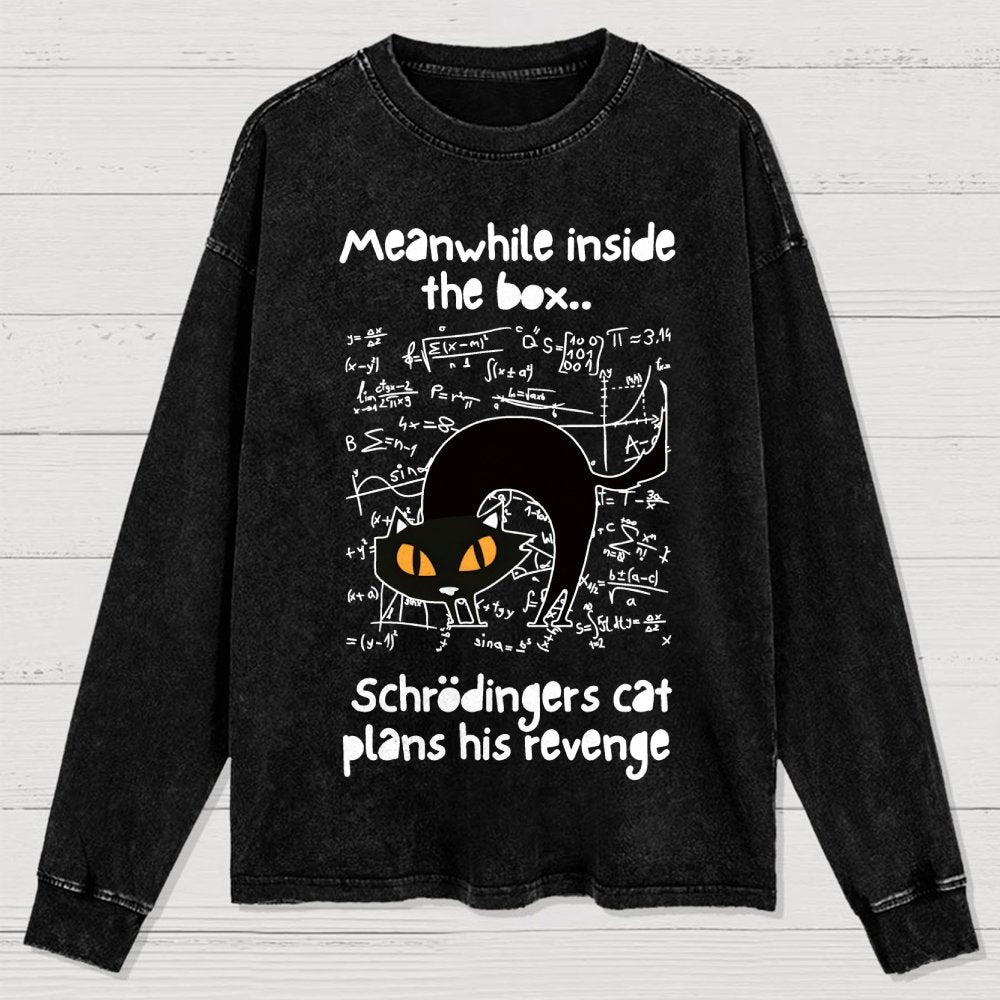 Schrodingers Cat Revenge Washed Long Sleeve Tee
