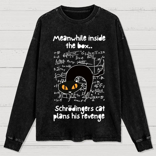 Schrodingers Cat Revenge Washed Long Sleeve Tee