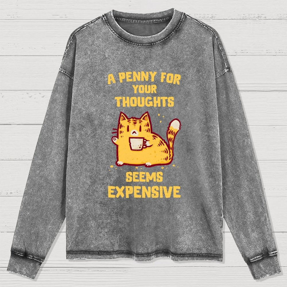 A Penny Seems Expensive Washed Long Sleeve Tee