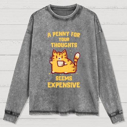 A Penny Seems Expensive Washed Long Sleeve Tee