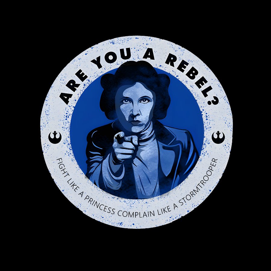 Fight Like a Princess Geek T-Shirt
