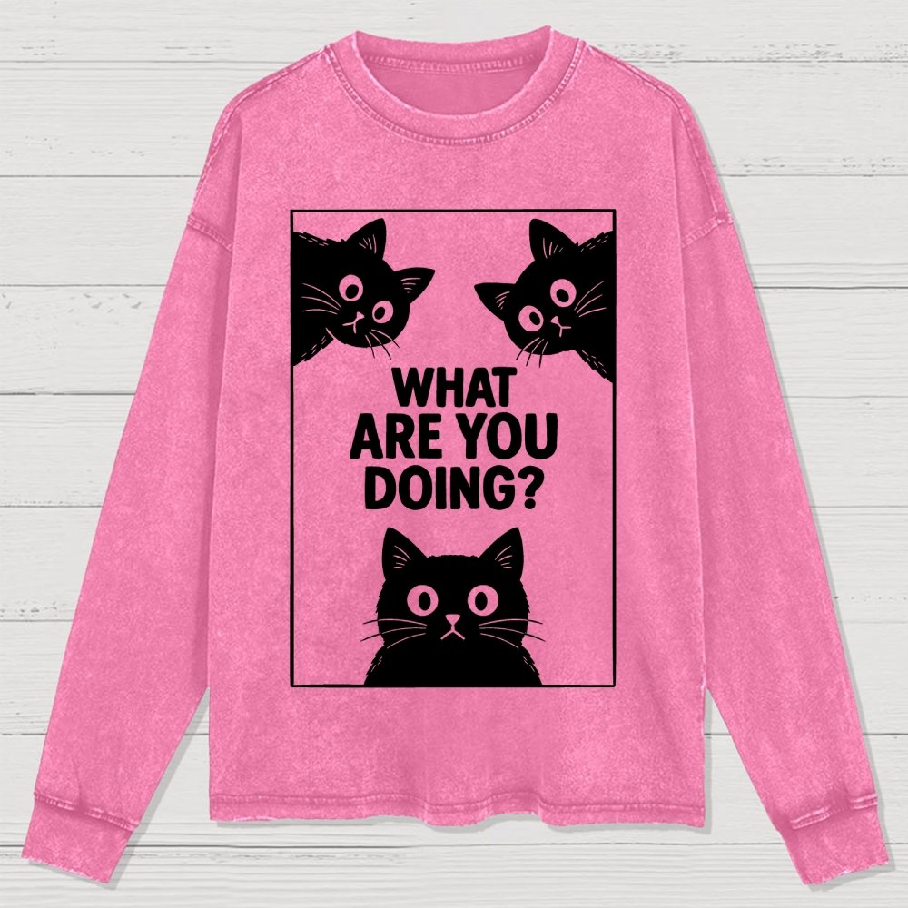 What Are You Doing Washed Long Sleeve Tee