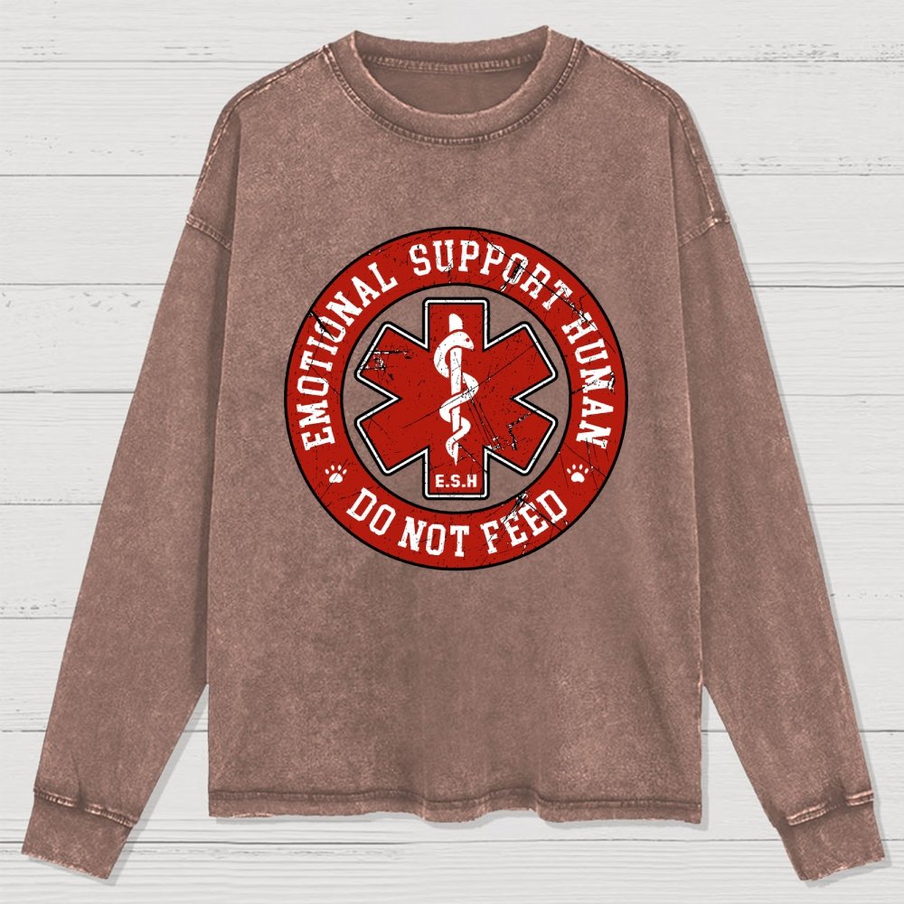 Do Not Feed Washed Long Sleeve Tee