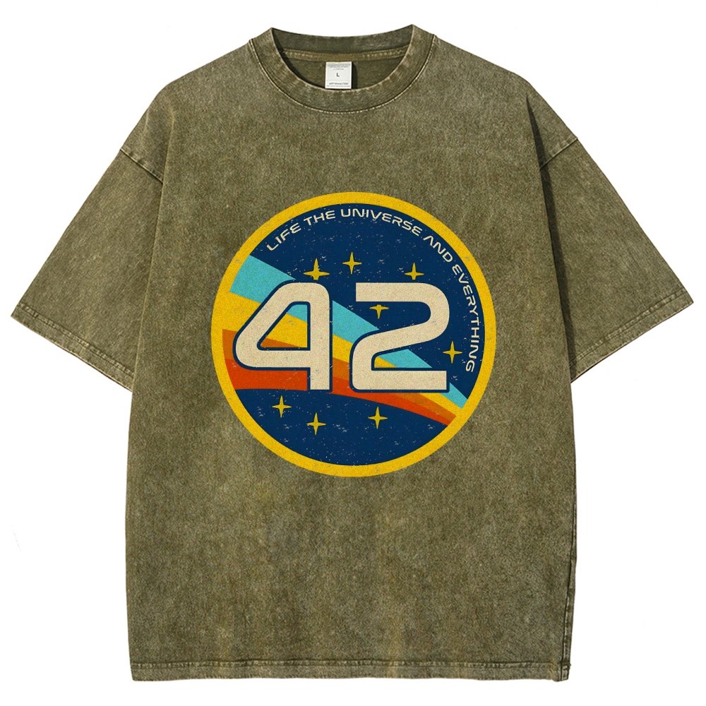 42 The Answer Of Everything Vintage Distressed T-shirt