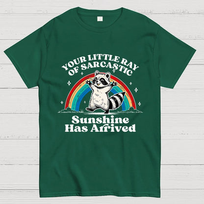 Your Little Ray of Sarcastic Sunshine Has Arrived Geek T-Shirt