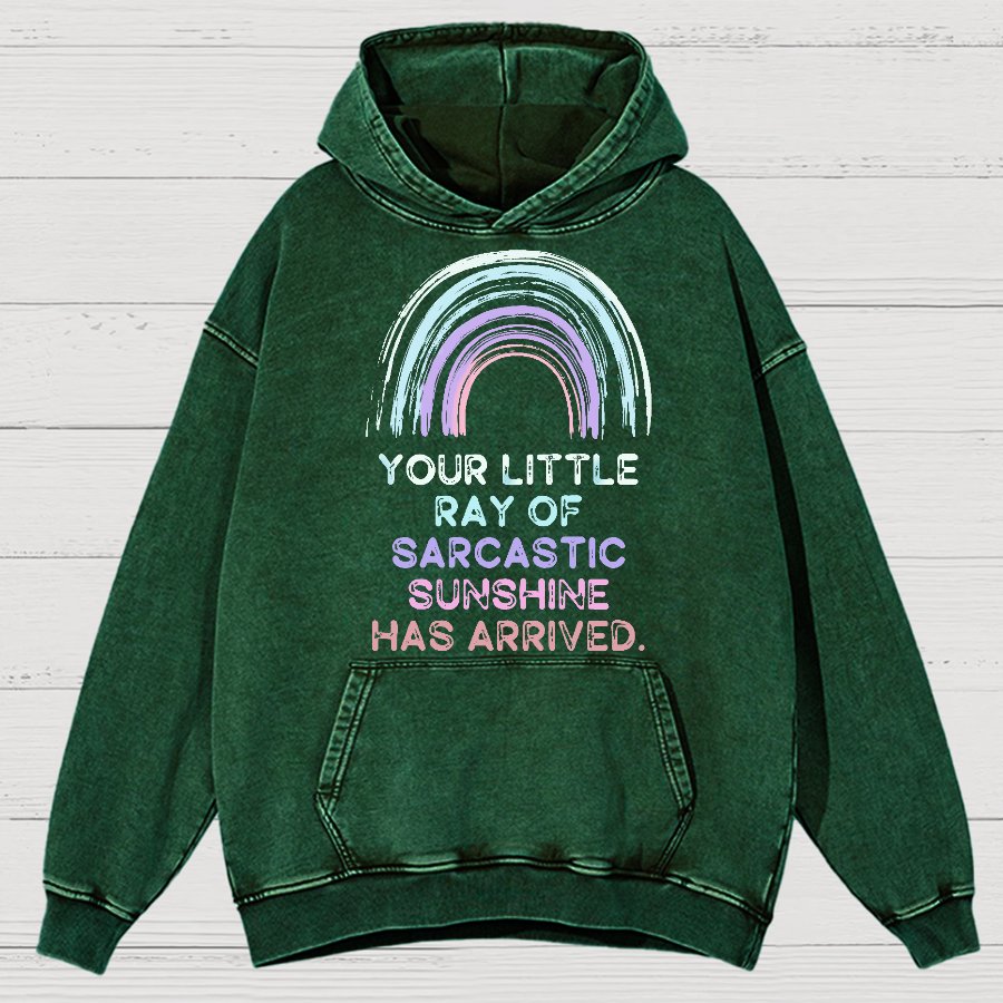 Your Little Ray of Sarcastic Sunshine Has Arrived Vintage Distressed Hoodie