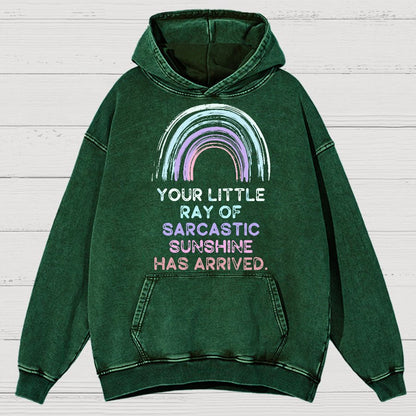 Your Little Ray of Sarcastic Sunshine Has Arrived Vintage Distressed Hoodie