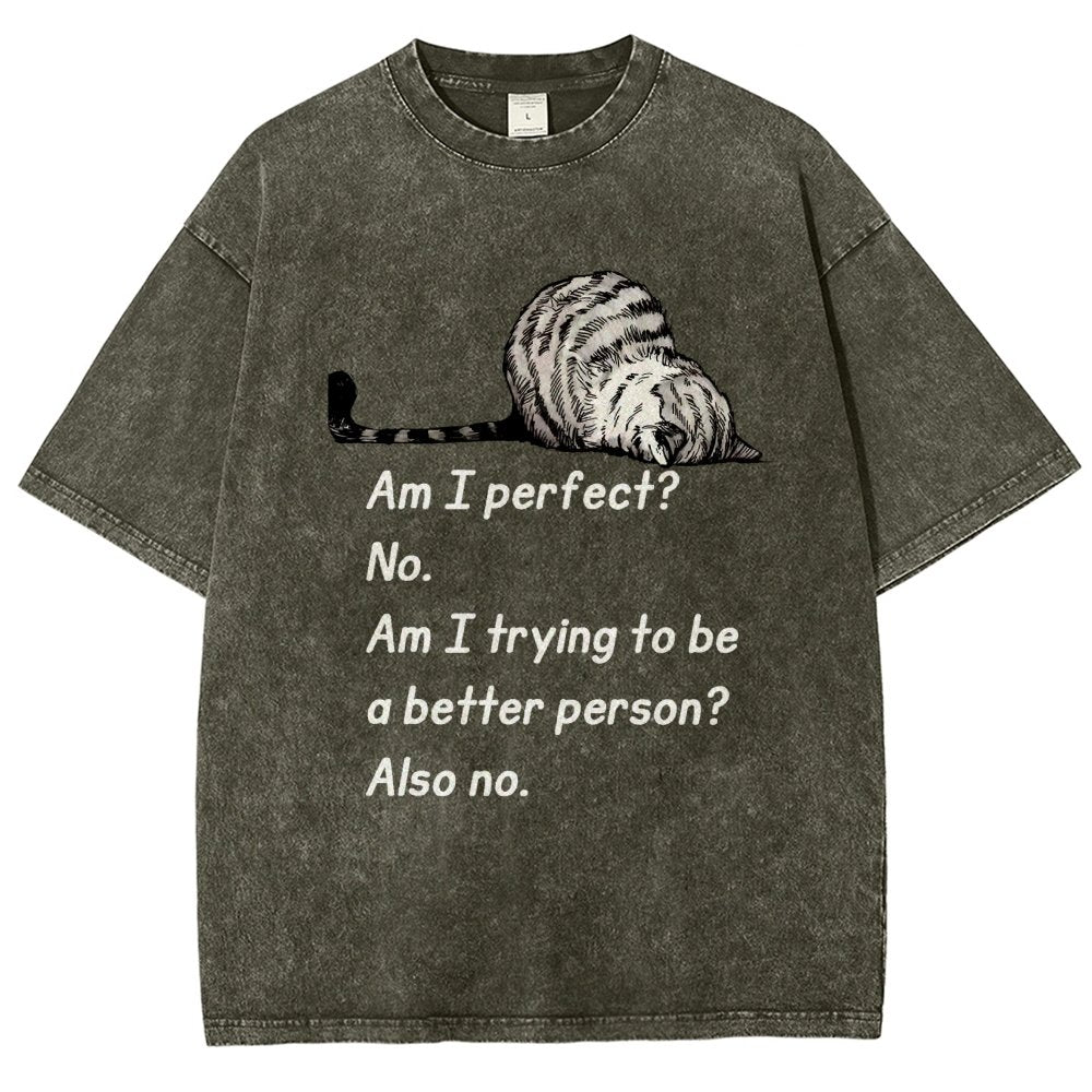 Am I Perfect No Vintage Distressed T-shirt
