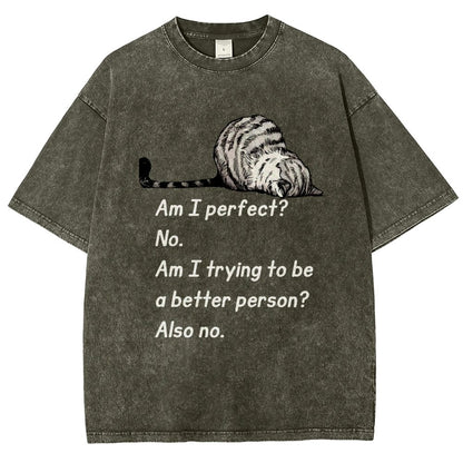 Am I Perfect No Vintage Distressed T-shirt