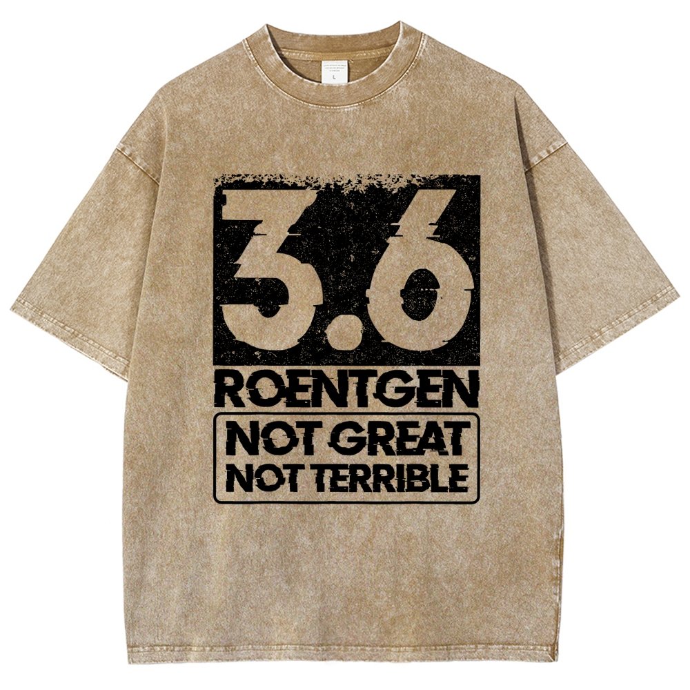 3.6 Roentgen Not Great Not Terrible Vintage Distressed T-shirt
