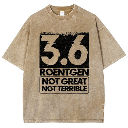 3.6 Roentgen Not Great Not Terrible Vintage Distressed T-shirt