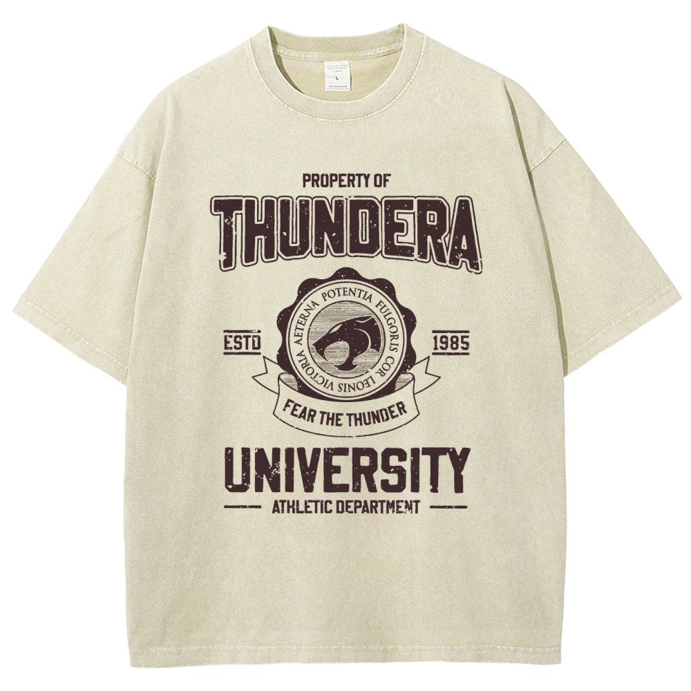 Mystic Valley University Vintage Distressed T-shirt