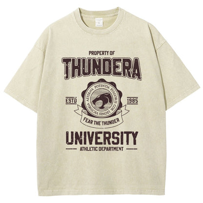 Mystic Valley University Vintage Distressed T-shirt