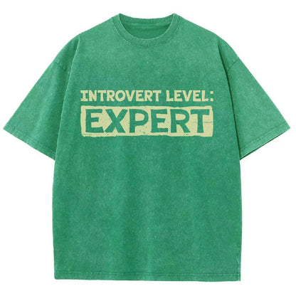 Introvert Level:Expert Vintage Distressed T-shirt