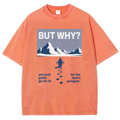 BUT WHY Vintage Distressed T-shirt