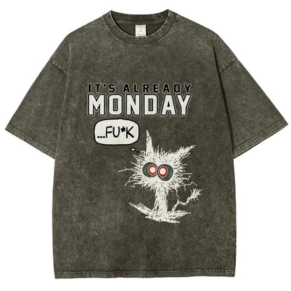 Monday Funny Cat Vintage Distressed T-shirt