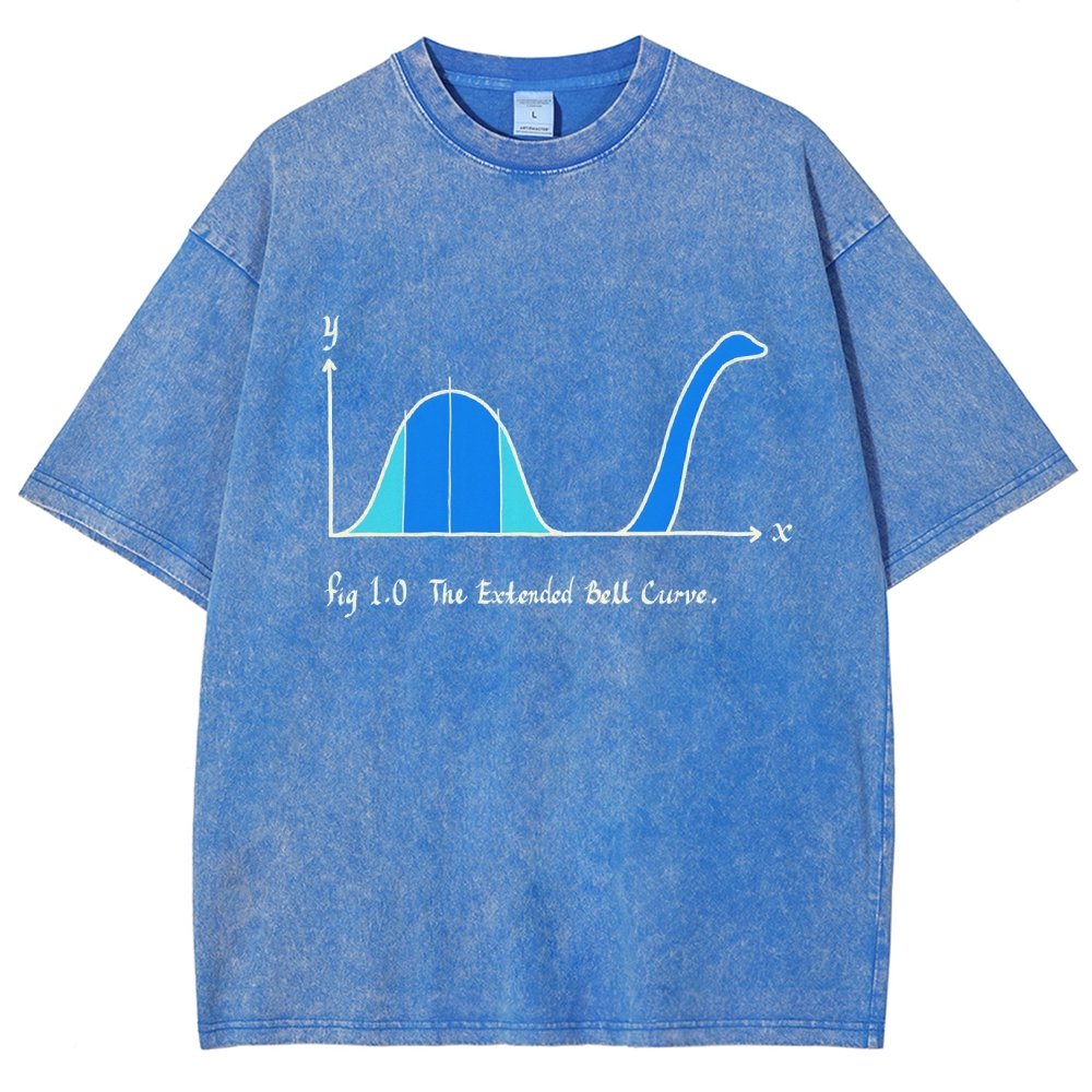 The Extended Bell Curve Vintage Distressed T-shirt