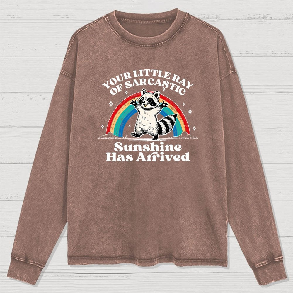 Your Little Ray of Sarcastic Sunshine Has Arrived Washed Long Sleeve Tee