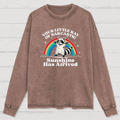 Your Little Ray of Sarcastic Sunshine Has Arrived Washed Long Sleeve Tee