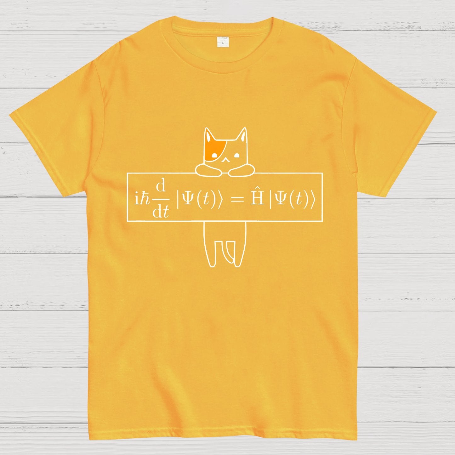 Schrödinger equation Geeky T-Shirt