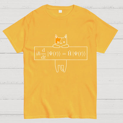 Schrödinger equation Geeky T-Shirt
