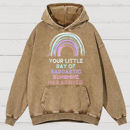 Your Little Ray of Sarcastic Sunshine Has Arrived Vintage Distressed Hoodie