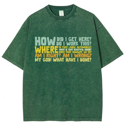 How Did I Get Here Vintage Distressed T-shirt