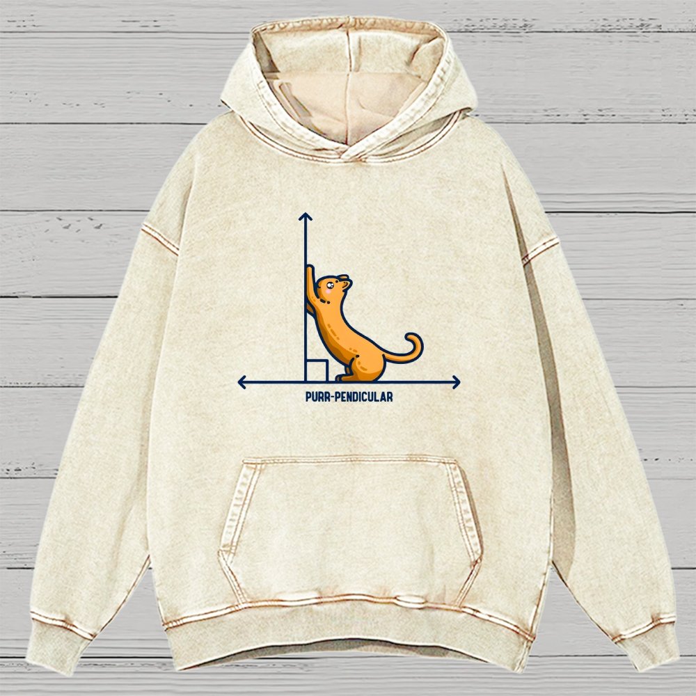 Purr-Pendicular Cute Maths Cat Premium Vintage Distressed Hoodie
