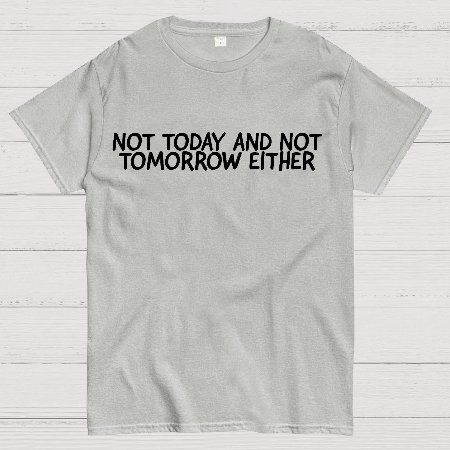 Not Today And Not Tomorrow Either Geek T-Shirt