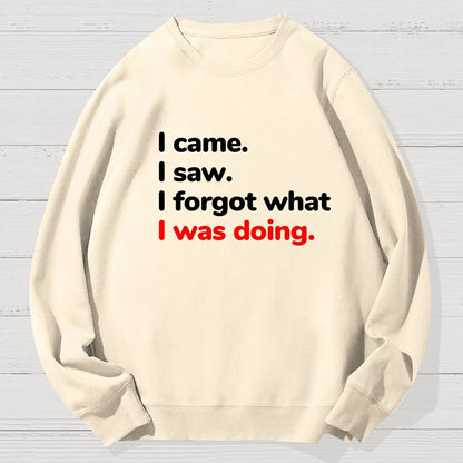 I Came. I Saw. I Forgot What I Was Doing Geek Cotton Sweatshirt