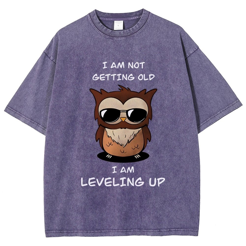 Leveling Up Vintage Distressed T-shirt