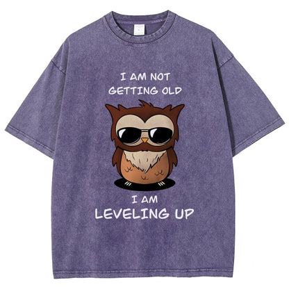 Leveling Up Vintage Distressed T-shirt