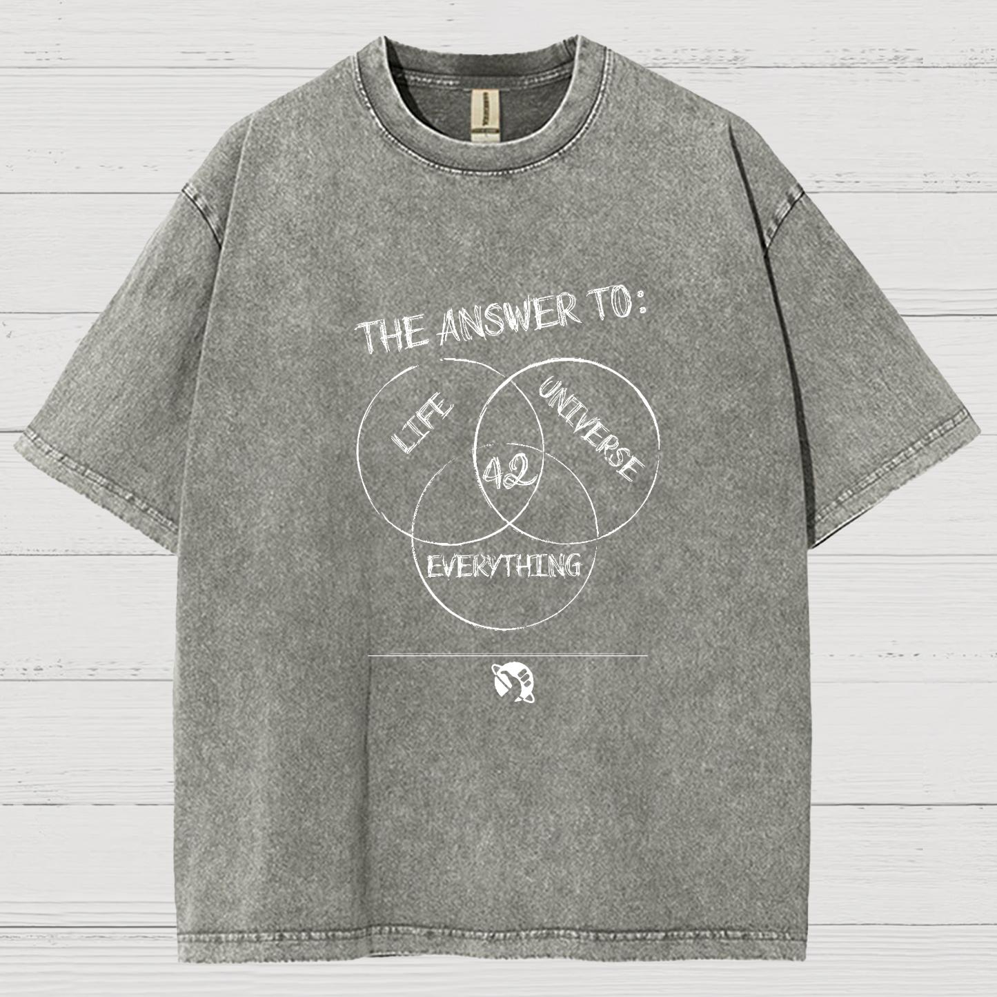 Diagram Of Everything Vintage Distressed T-shirt