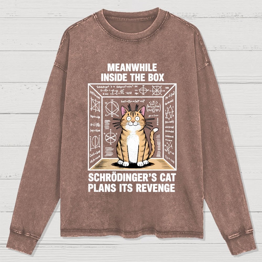 Schrodinger's Cat Escape Plan Washed Long Sleeve Tee