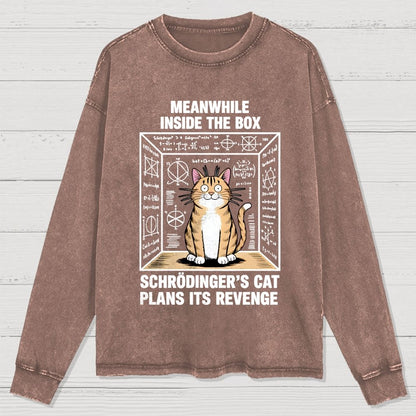 Schrodinger's Cat Escape Plan Washed Long Sleeve Tee
