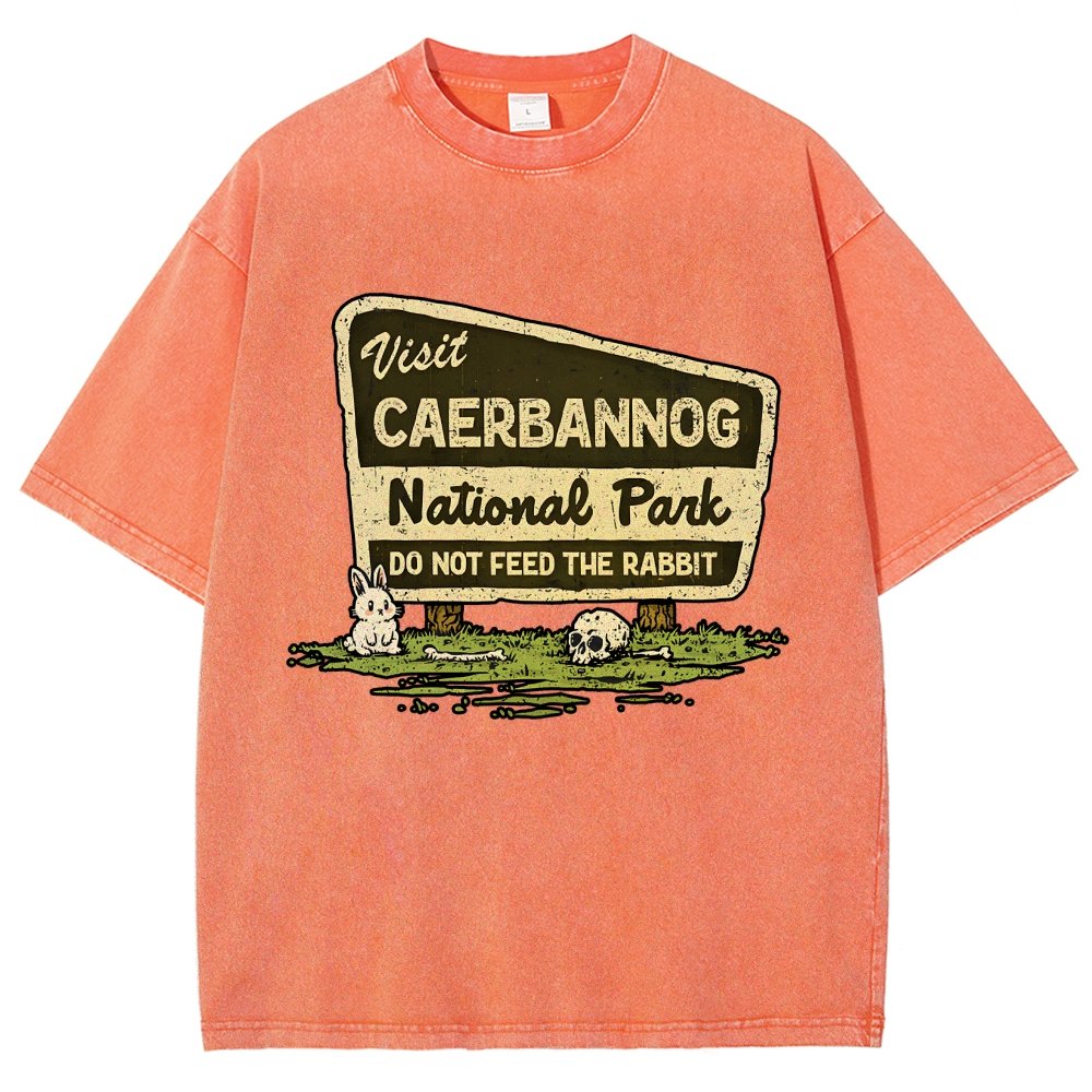 Mystic Valley National Park Vintage Distressed T-shirt