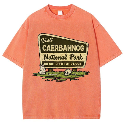 Mystic Valley National Park Vintage Distressed T-shirt