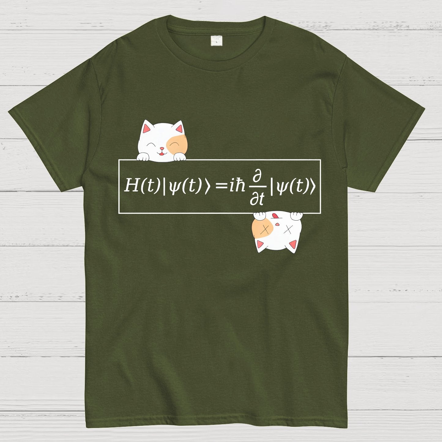 Schrödinger equation Geeky T-Shirt