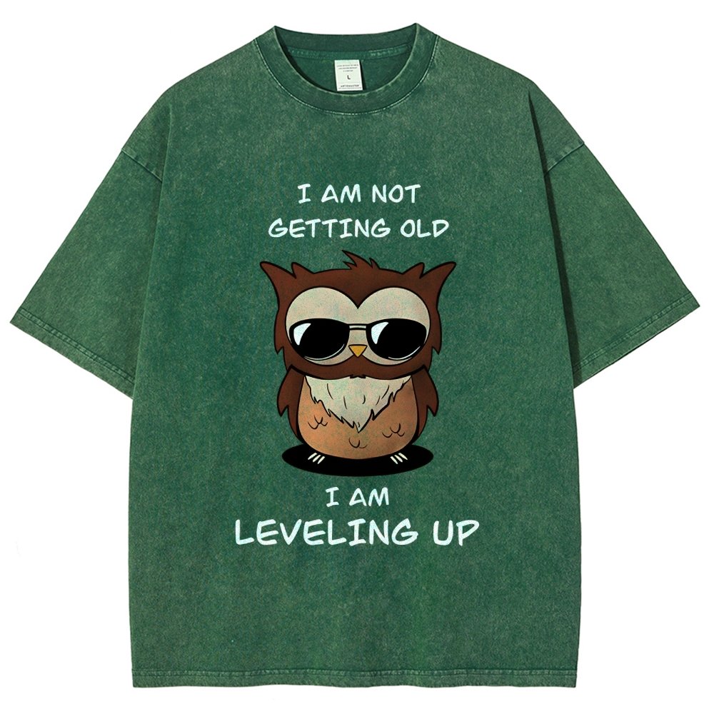 Leveling Up Vintage Distressed T-shirt