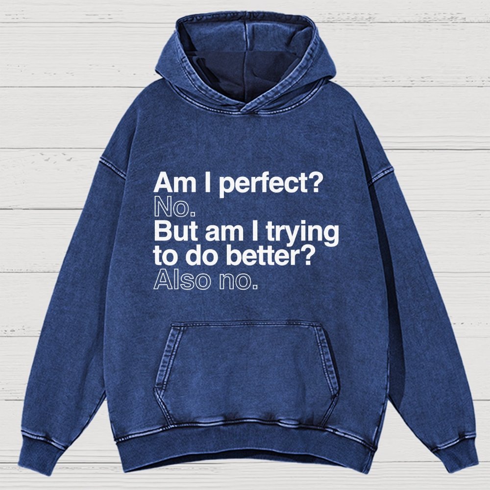 Am I Perfect No Vintage Distressed Hoodie