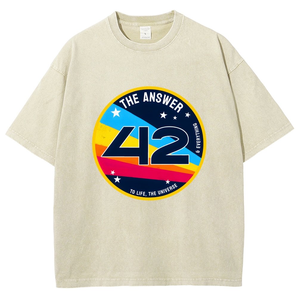 The Answer is 42 Vintage Distressed T-shirt