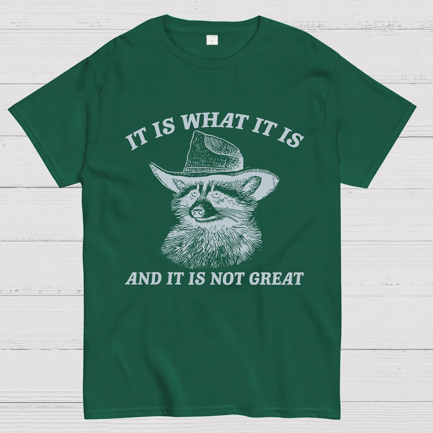 t Is What It Is And It Is Not Great Vintage Raccoon Geeky T-Shirt