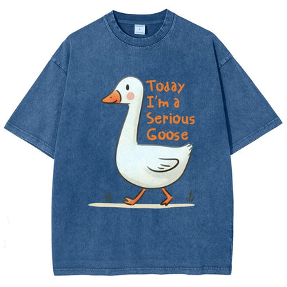 Today I’m A Serious Goose Vintage Distressed T-shirt