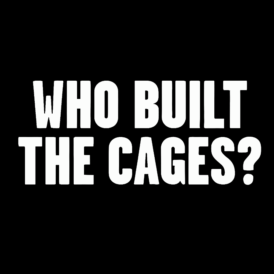 Who Built The Cage? Geek T-Shirt