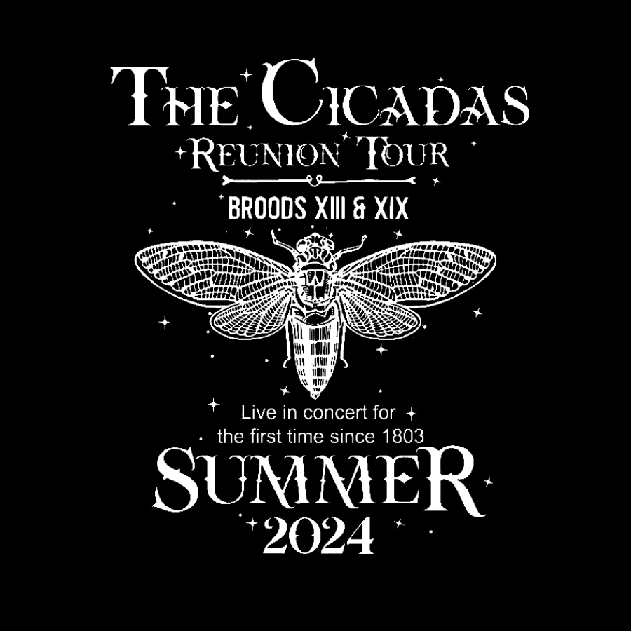 The Cicada Reunion U.S Tour 2024 Cicada Geeky T-Shirt