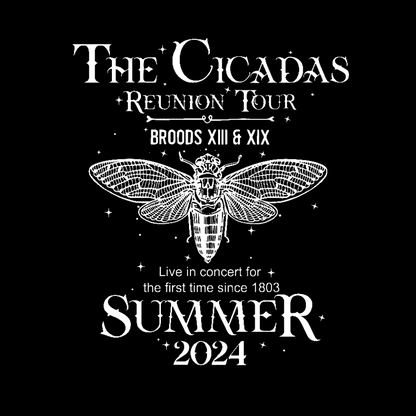 The Cicada Reunion U.S Tour 2024 Cicada Geeky T-Shirt