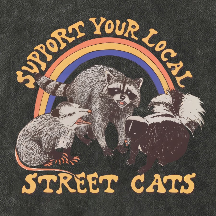 Support Your Local Street Cats (raccoon) Vintage Distressed T-shirt